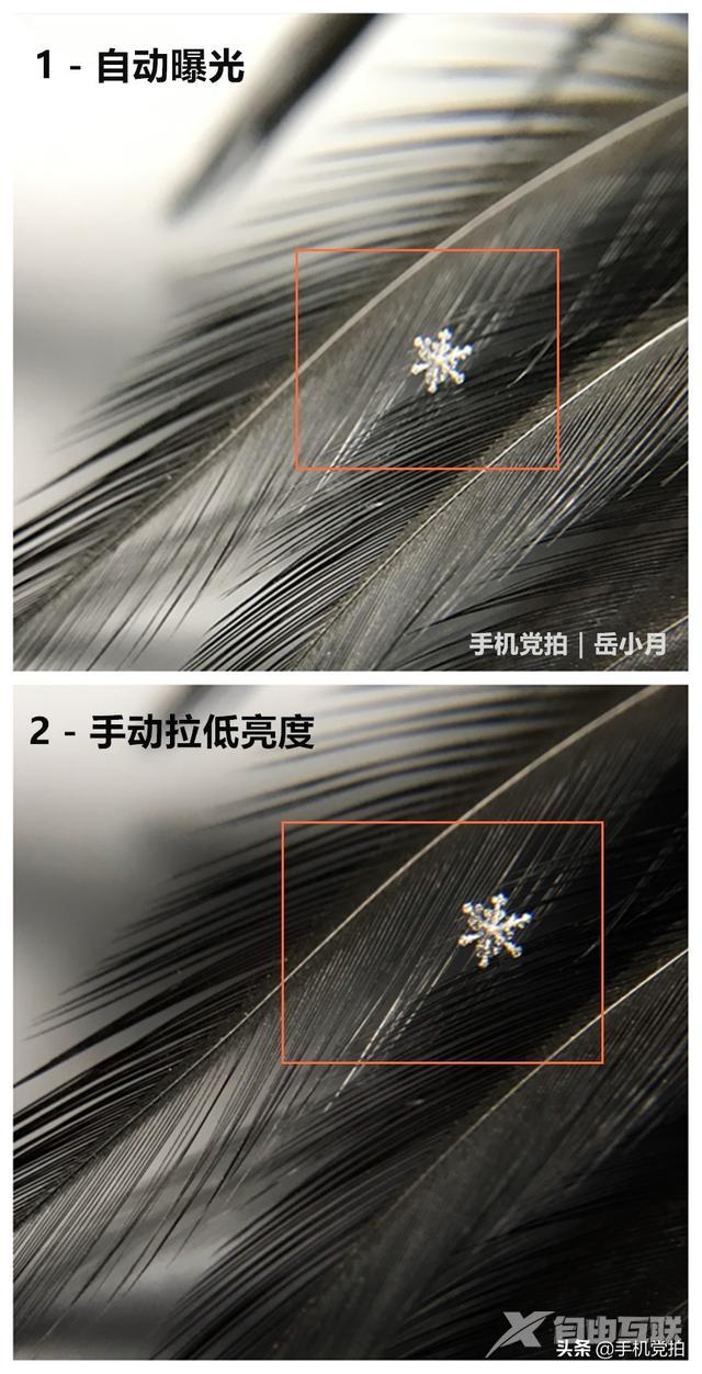 手机拍照不清晰怎么处理（手机拍照模糊的原因及解决办法）(15)