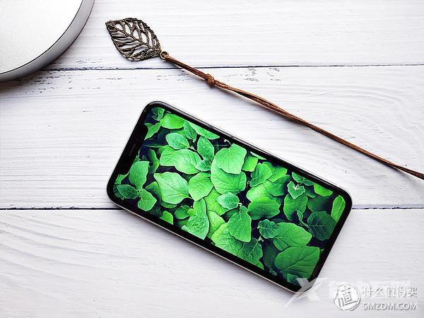 iphone xr配置参数（苹果xr目前值得入手吗）(19)