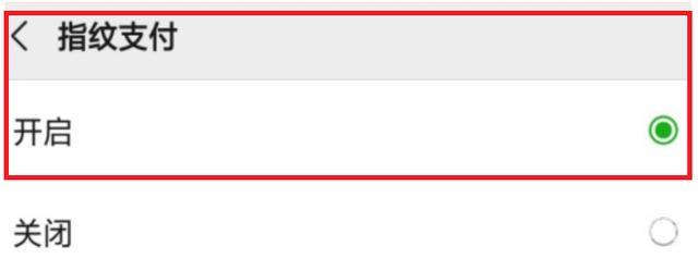 微信支付密码怎么设置指纹（教你如何设置微信指纹付款）(4)
