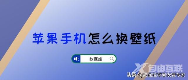 苹果手机怎么设置屏保和壁纸（苹果手机更换自己想要壁纸的方法）(1)