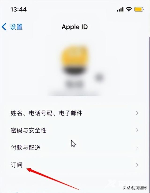 怎么关闭自动续费iphone（苹果自动扣款关闭方法）(2)