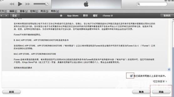 苹果id注册教程（如何自己注册苹果id）(7)