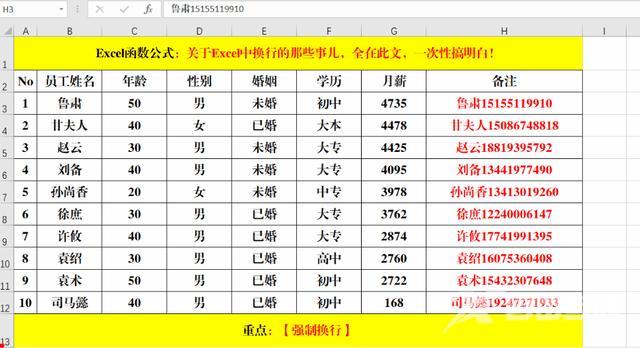 excel换行按什么键（excel自动换行的操作方法）(3)