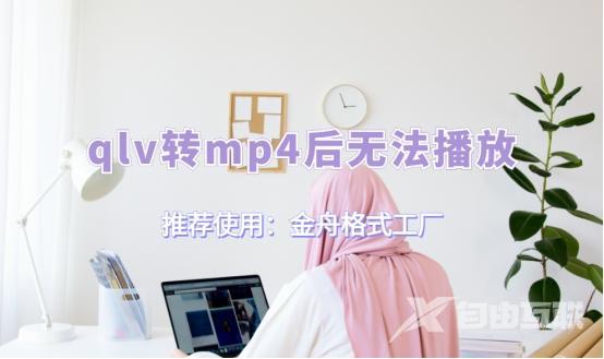 电脑打不开mp4视频怎么办（qlv转mp4后无法播放解决方法）(1)