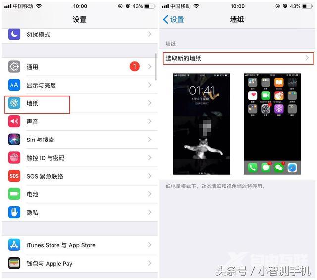 iphone怎么设置壁纸（苹果手机壁纸自定义教程）(4)