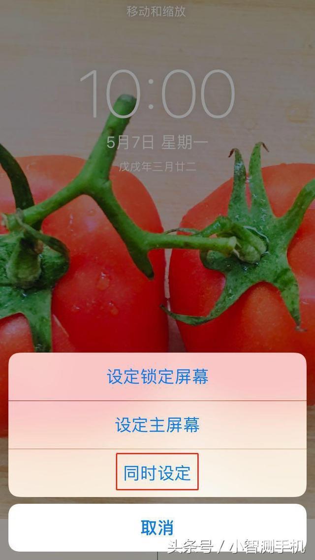 iphone怎么设置壁纸（苹果手机壁纸自定义教程）(3)