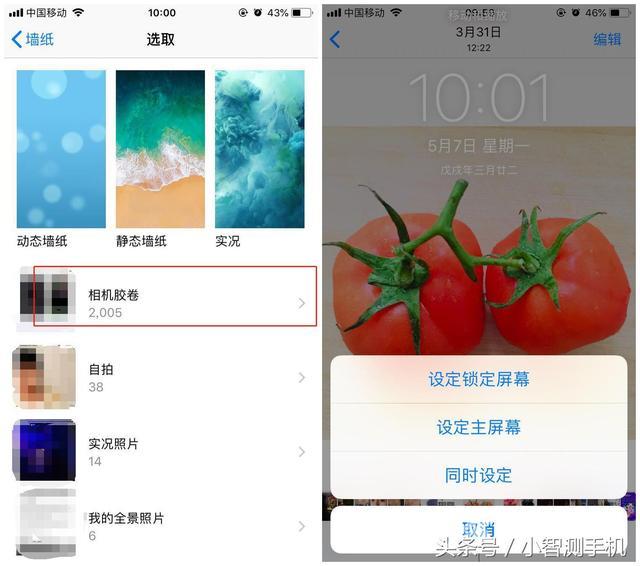 iphone怎么设置壁纸（苹果手机壁纸自定义教程）(5)