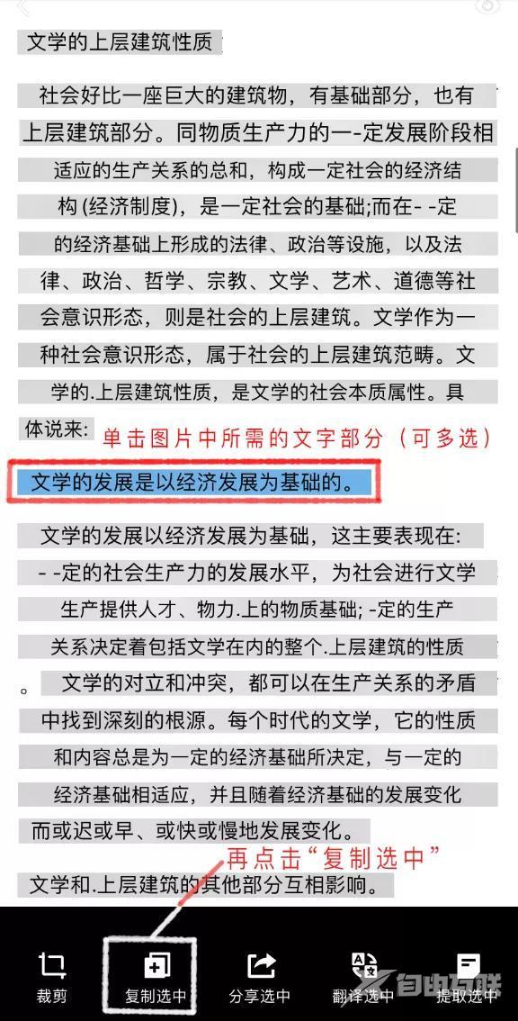 复制粘贴不了怎么办（轻松解决文字不能复制问题）(12)