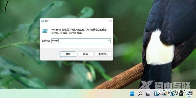 如何远程控制桌面（win11远程连接电脑的方法）(3)