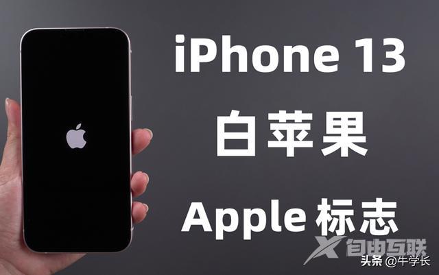 苹果手机一直转圈圈无法开机咋办（iPhone13白苹果的原因及修复方法）(1)