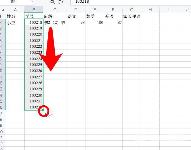 Excel成绩表格怎么做（excel制作成绩单操作步骤）(5)