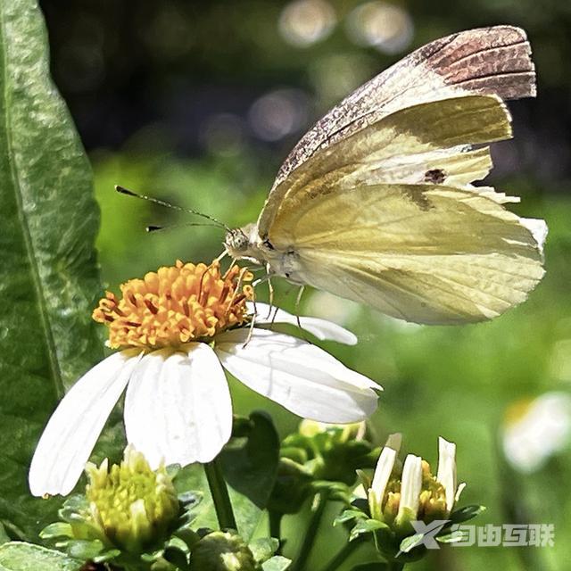 苹果手表功能大全介绍（刚买的apple watch怎么操作）(5)