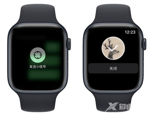 苹果手表功能大全介绍（刚买的apple watch怎么操作）(18)