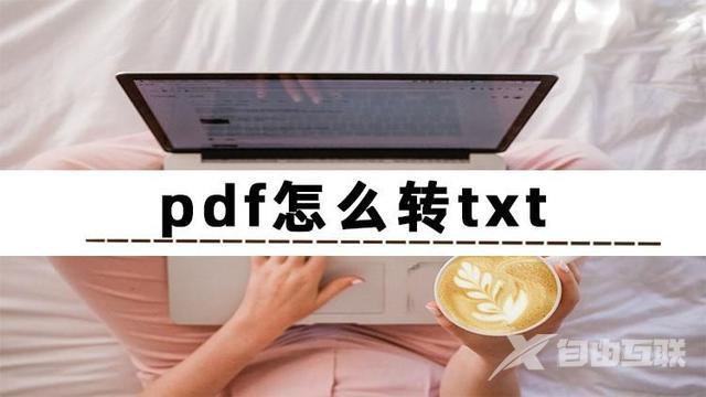 pdf转txt的方法有哪些（pdf怎么快速转txt）(1)