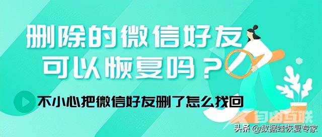 不小心把好友删了怎么加回来微信（删除的微信好友可以恢复吗）(1)