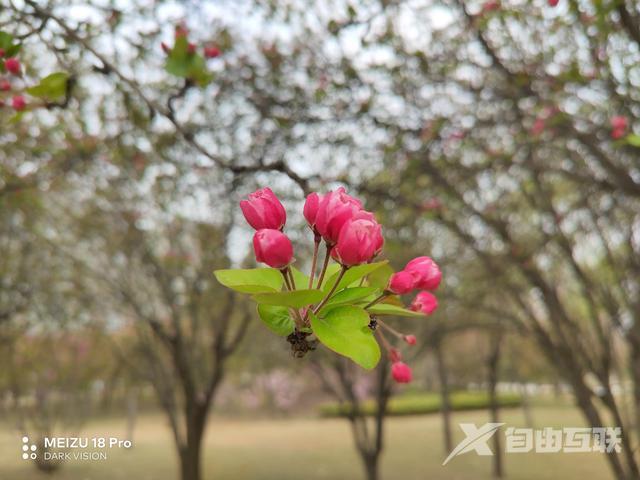 魅族18参数配置（魅族18系列使用感受）(30)