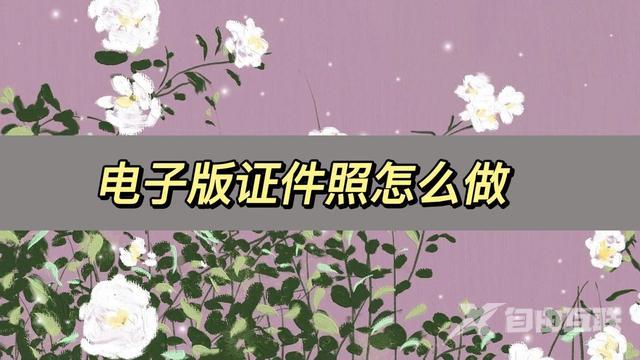 证件照怎么弄成电子版（教你几步轻松制作电子版证件照）(1)