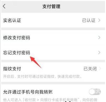 微信支付密码忘记了怎么找回（微信忘记支付密码最简单的方法）(4)