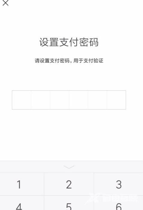 微信支付密码忘记了怎么找回（微信忘记支付密码最简单的方法）(6)