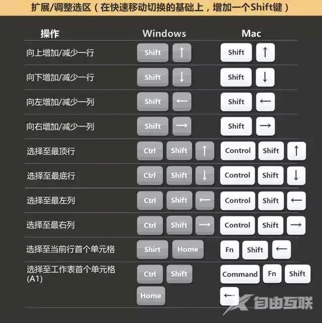 初学者怎样制作Excel表格（excel表格新手入门基础教程）(4)