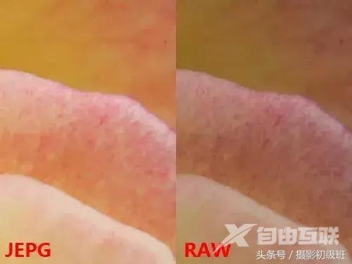 jpg和raw有什么区别（照片选择raw格式还是jpg格式）(7)