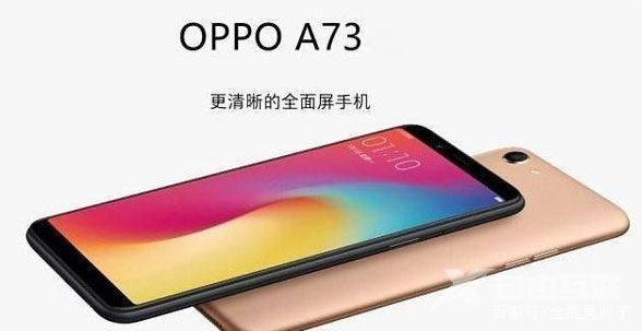 oppo a73参数配置（oppoa73值得入手吗）(1)