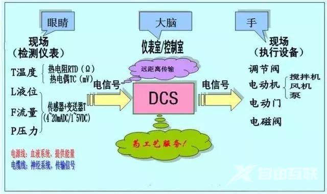 dsc什么意思（dcs系统的用途和特点）(4)