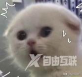 微信聊天视频在哪个文件夹（微信在不登录的情况下查聊天记录方法）(2)