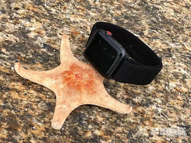 apple watch 3深度测评（applewatch3现在建议买吗）(1)