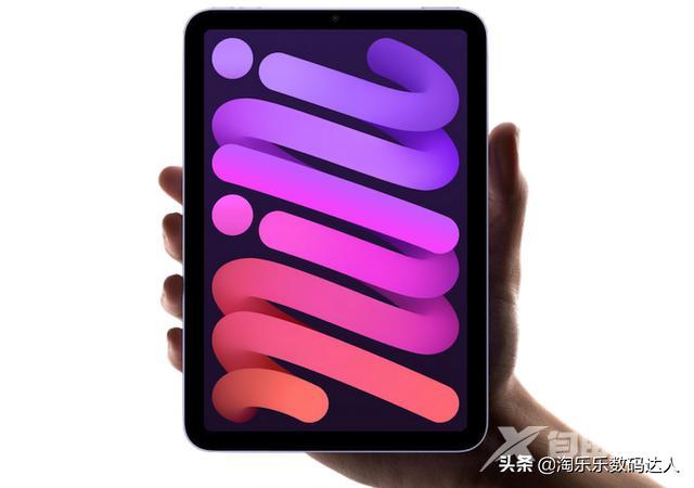 ipad air和ipad mini哪个好（ipad mini和ipad air区别是什么）(2)