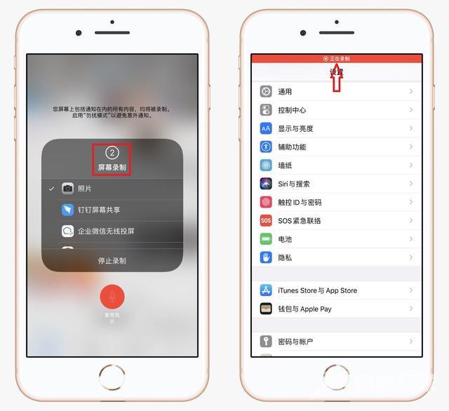 苹果手机录屏功能在哪里开启（教你如何打开iphone自带录屏功能）(5)