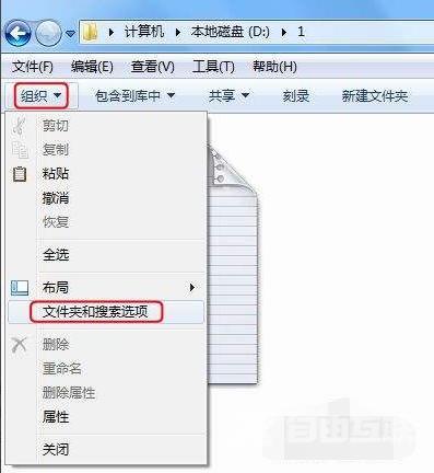 win7后缀名隐藏了怎么打开（Win7如何显示文件的后缀名）(2)