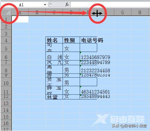 如何调整表格的行高和列宽（分享几种调整excel表格行高与列宽方法）(3)