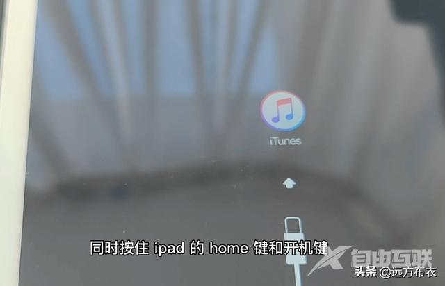 ipad被锁定停止使用怎么办（已停用ipad连接itunes解锁教程）(3)