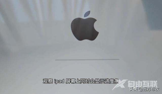 ipad被锁定停止使用怎么办（已停用ipad连接itunes解锁教程）(7)