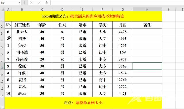 表格如何插入图片（将图片批量插入表格中操作方法）(3)