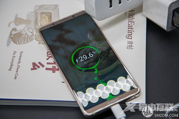 mate10pro参数配置（华为 Mate10 Pro值得买吗）(51)