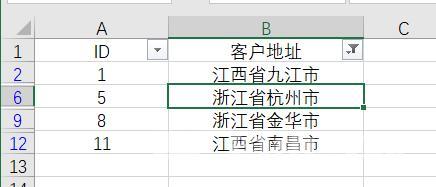 如何在excel中筛选（excel筛选技巧和方法）(6)