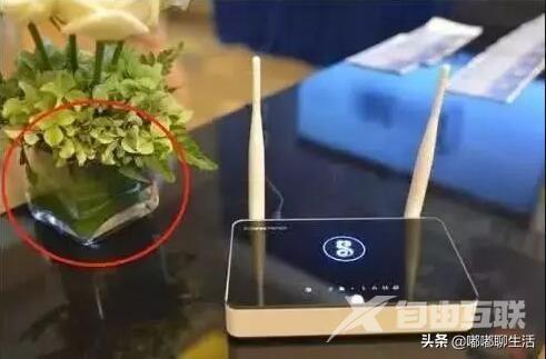 网速慢的原因及解决办法（为啥路由器WIFI越来越慢）(5)