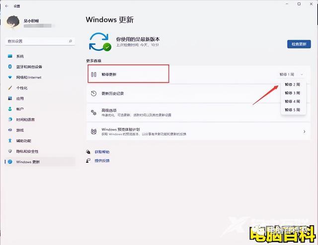 windows自动更新怎么关闭（win11关闭自动更新的4种方法）(4)