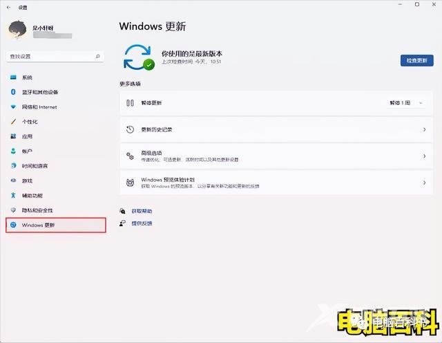 windows自动更新怎么关闭（win11关闭自动更新的4种方法）(3)