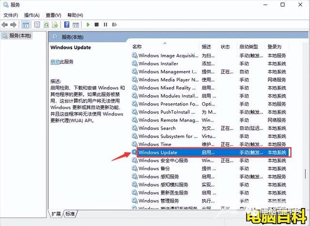 windows自动更新怎么关闭（win11关闭自动更新的4种方法）(7)