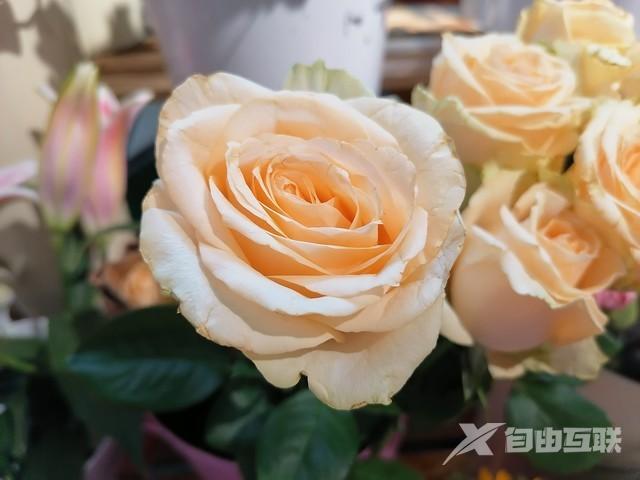 华为10plus手机参数（性能实力派华为畅享10Plus评测）(8)