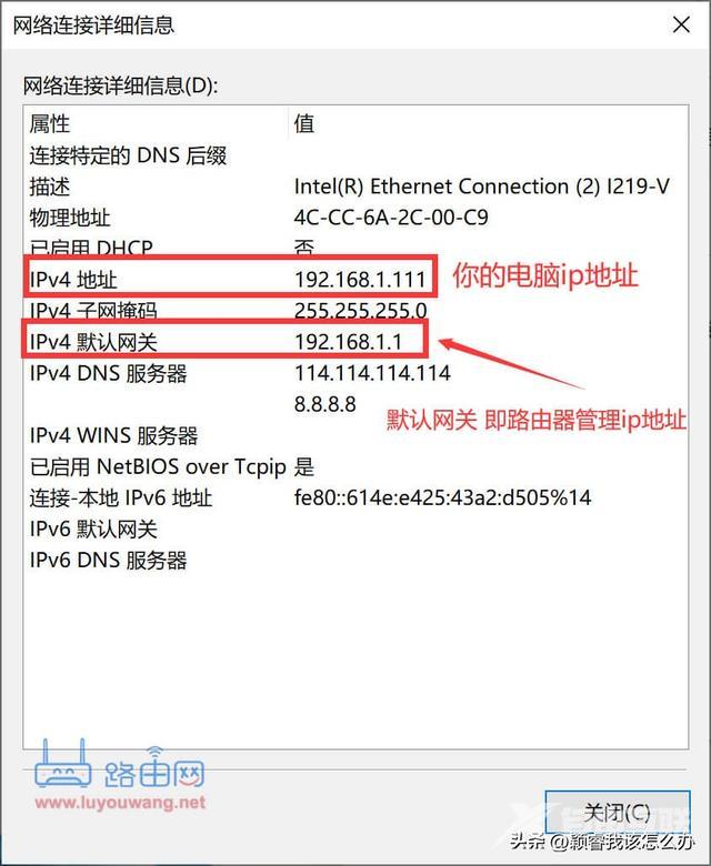 电脑ip地址怎么查（查看电脑的ip地址最简单方法）(9)