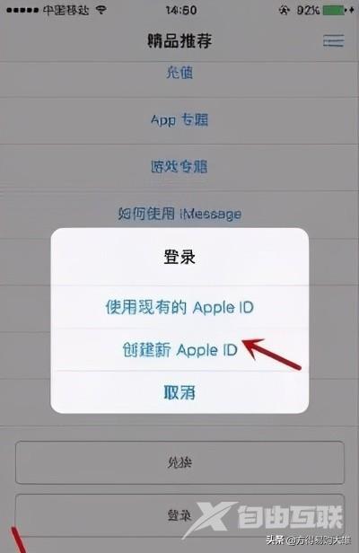 apple id注册怎么弄（苹果手机注册id的详细教程）(15)