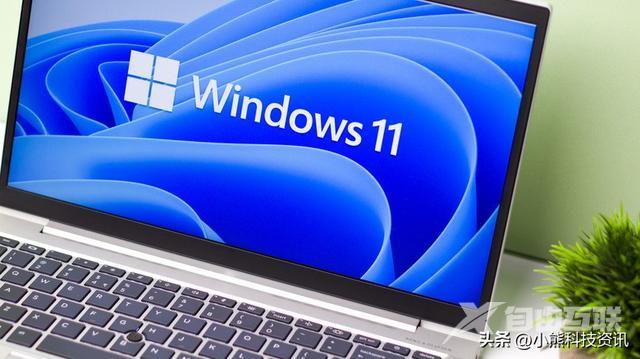 电脑打开网页速度慢怎么回事（windows11卡顿严重解决办法）(1)