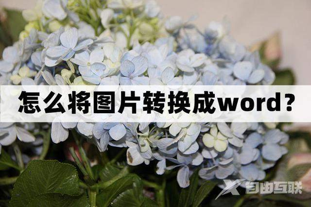 怎么将图片转换成word文档（将图片转word的3个操作方法）(1)