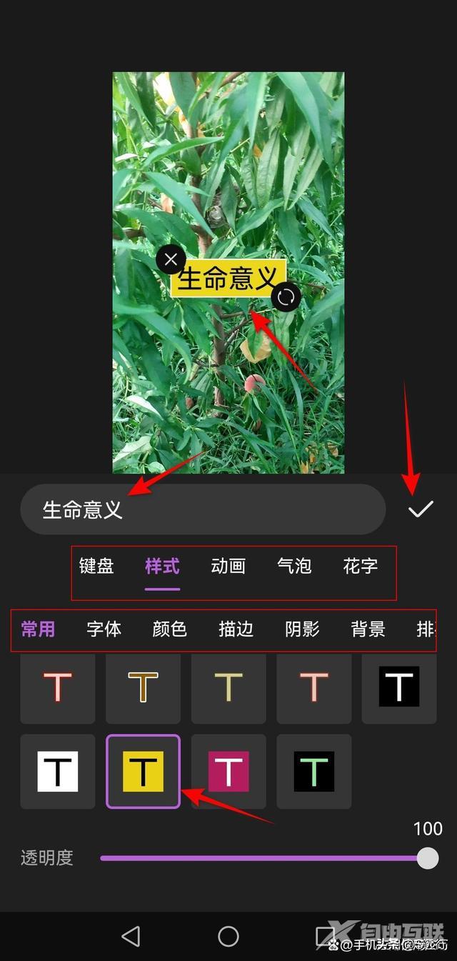 怎么在视频上编辑文字（视频上添加文字的方法）(7)