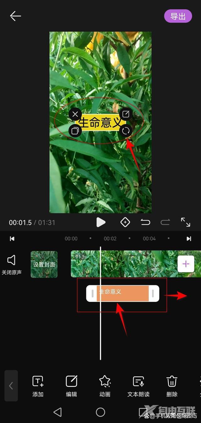 怎么在视频上编辑文字（视频上添加文字的方法）(8)