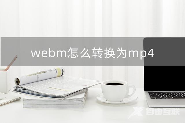 webm是什么格式（webm转换mp4最简单方法）(1)